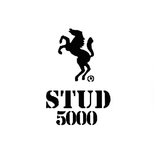stud 5000 lidokain spray banner india